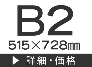 B2515728mm 